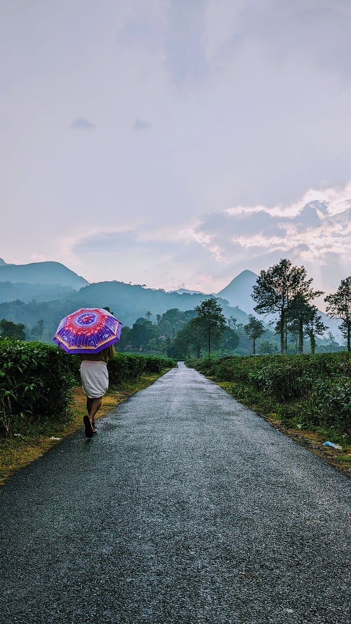 beauty of wayanad